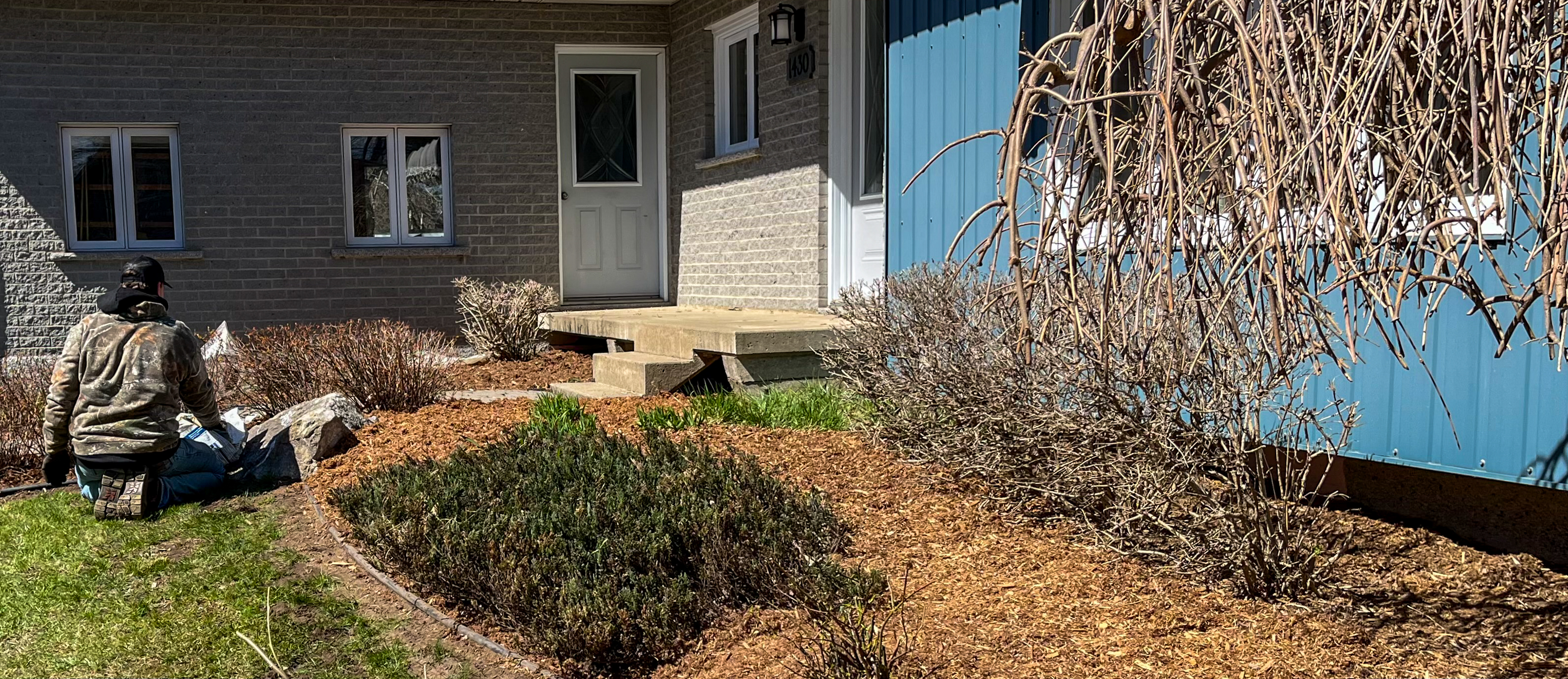 Pelouse au début du printemps