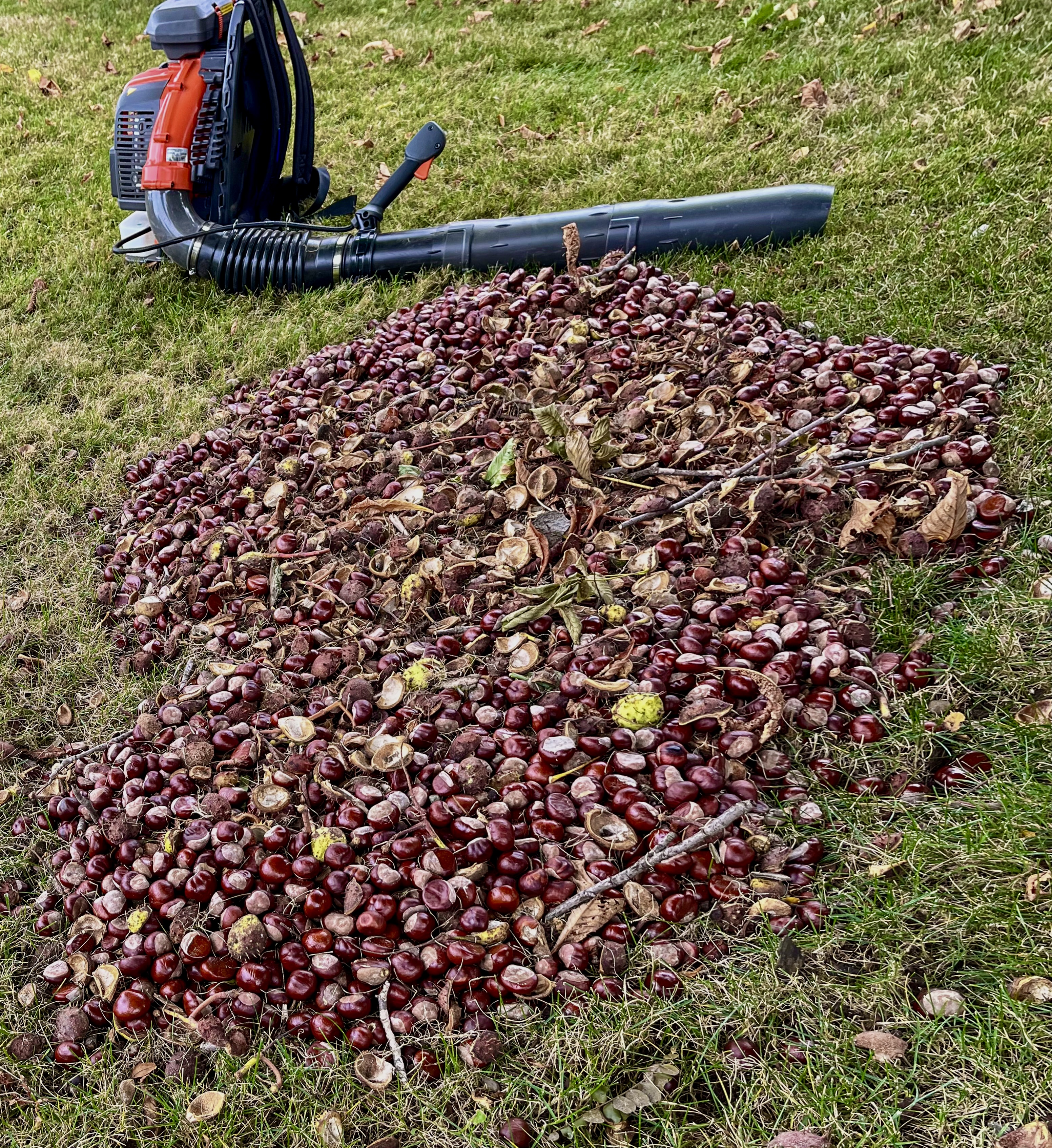 Terrain en automne